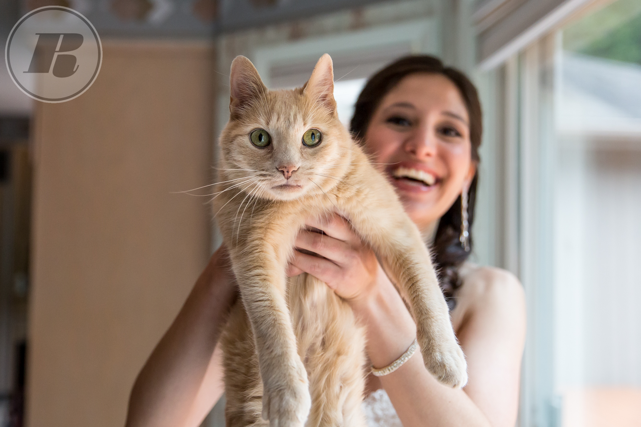 rochester wedding photographer, cat photo, rich paprocki