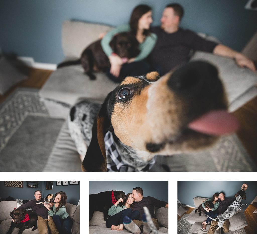 Dogs and pets engagement shoot Rochester New York