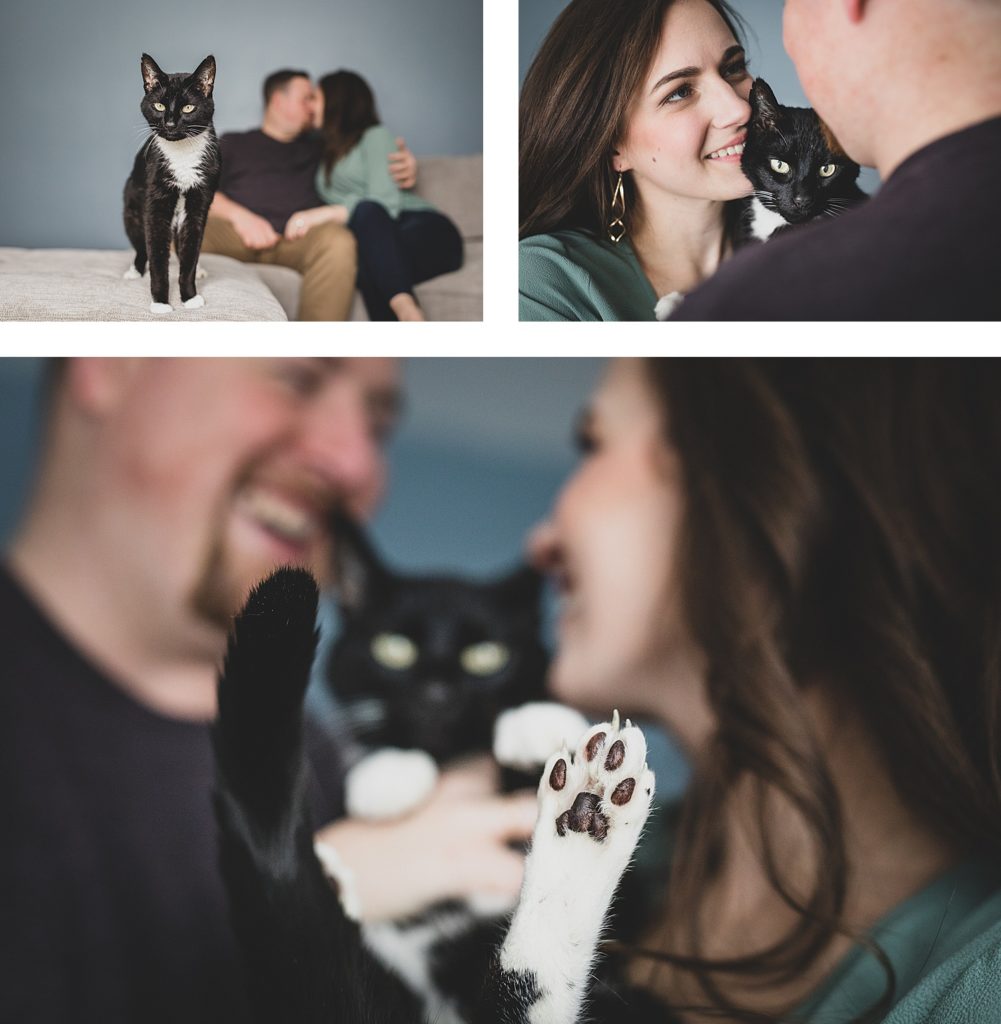 Cat and pet engagement shoot Rochester